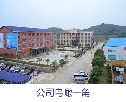 江南体育APP官方下载